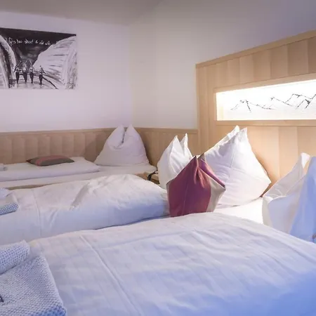 Grieserin Hotel 3*